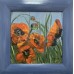 Original oil painting, Poppies "20 * 20 cm, in a wooden frame