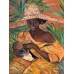 Original oil/acrylic painting on canvas 60 * 80 cm, African woman with a baby Original oil/acrylic painting on canvas 60 * 80 cm, African woman with a baby