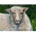 Buy oil painting Sheep