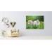 Buy oil painting Sheep