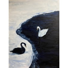 Swans. Harmony, original oil painting on canvas, size 75*95 cm, modern painting
