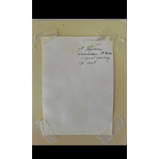 Portrait of a Woman Among Ornaments, watercolour 13*18 cm,  artist Marina Stognieva