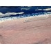 Pink Shore of the North Sea