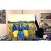 A Ukrainian woman with a flag, a painting dedicated to the 30th anniversary of Ukraine's independence is for sale, original