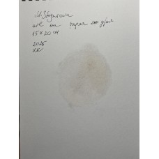 Winter Robin - original oil painting on paper 15 × 20 cm Winter Robin - original oil painting on paper 15 × 20 cm