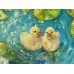 Ducklings in the Garden Pond - original 40 × 40 cm oil painting - Marina Stognieva
