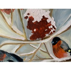 Bullfinches. Frosty Morning.