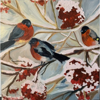Bullfinches. Frosty Morning.